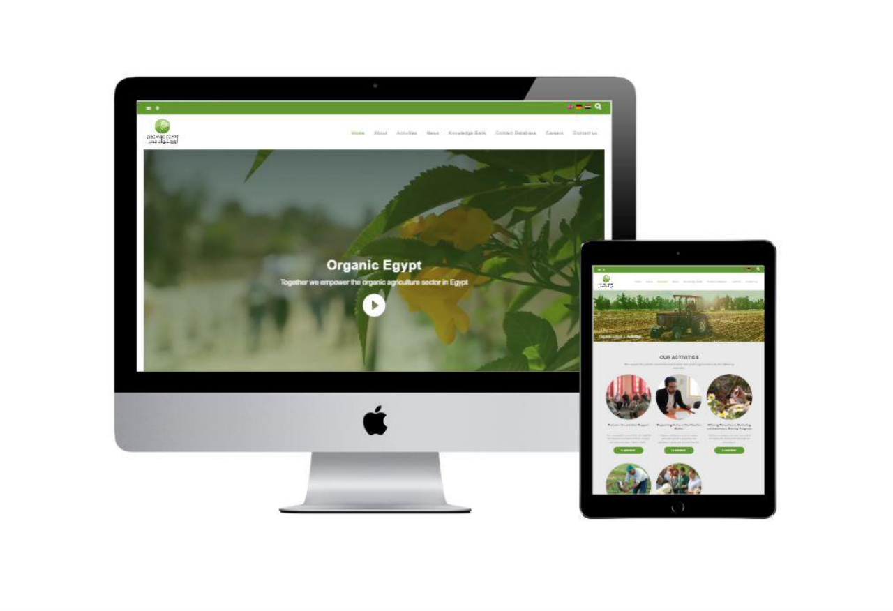 Organic Egypt — 2