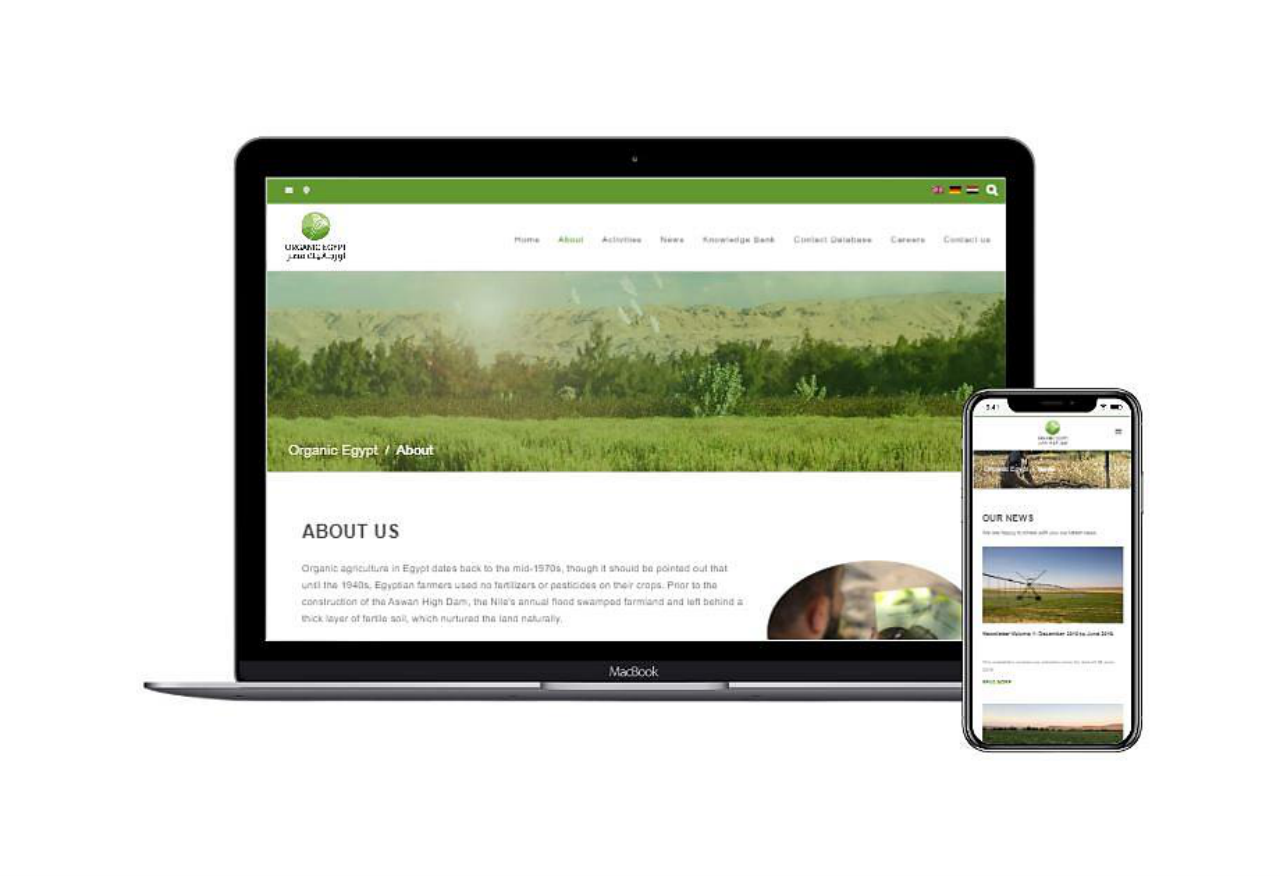 Organic Egypt — 3