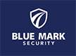 blue mark logo